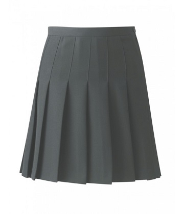 Skirt - Pleated - Designer
